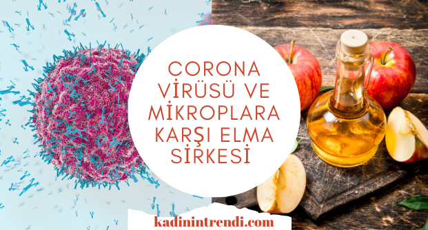 evlerinizi ve ellerinizi Corona virüsü ve mikroplara karşı Elma sirkesi ile dezenfekte edin. koronavirüs için Elma sirkesi